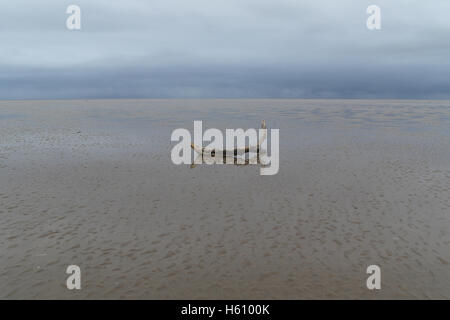 Voir l'horizon, vers les nuages noirs, de petit arbre couché sur journal télévision étendue de sable plage humide, Fairhaven, Lytham St Annes, UK Banque D'Images