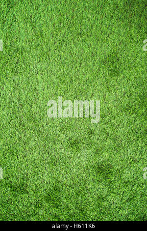 L'herbe verte artificielle Banque D'Images