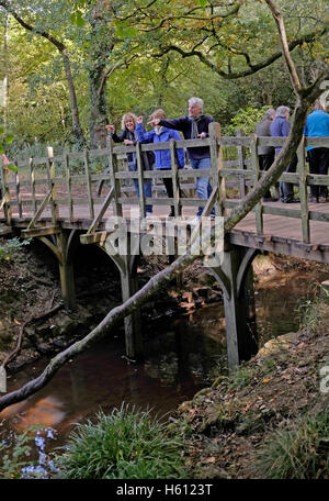 Gens jouer jeu pooh sticks au célèbre pont Ourson au coeur de la forêt d'Ashdown Sussex UK Banque D'Images