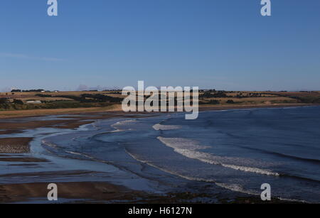 Portrait de lunan bay angus scotland octobre 2016 Banque D'Images