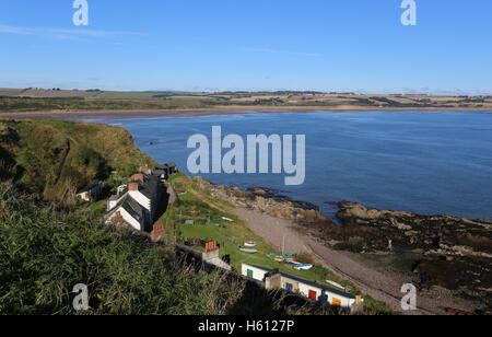 Portrait d'ethie haven lunan bay angus scotland octobre 2016 Banque D'Images