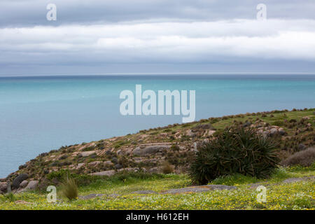 Cape Willoughby de Conservation Park sur Kangaroo Island, Australie du Sud Banque D'Images