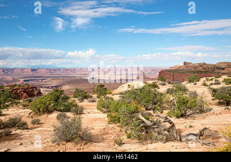 'Île de la sky' du Parc Narional Canyonlands dans l'Utah, USA Banque D'Images