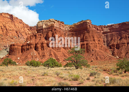 Capitol Reef National Park dans l'Utah, USA Banque D'Images