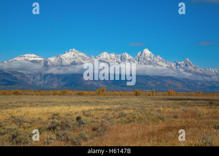 Parc National de Grand Teton, Wyoming, USA Banque D'Images