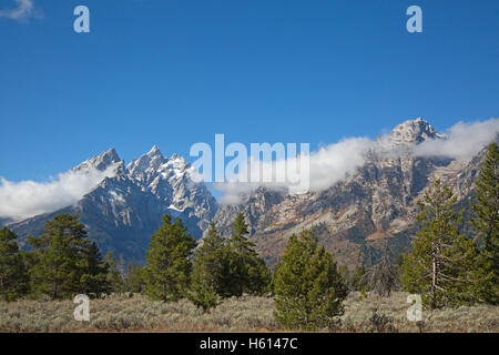 Parc National de Grand Teton, Wyoming, USA Banque D'Images