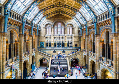 Londres, Royaume-Uni - 28 juillet 2016 - Salle principale du Musée d'Histoire Naturelle Banque D'Images