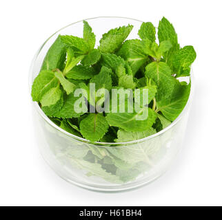 Feuilles de menthe poivrée fraîche dans un bol de verre sur fond blanc. Mentha piperita vert est une plante comestible. Banque D'Images