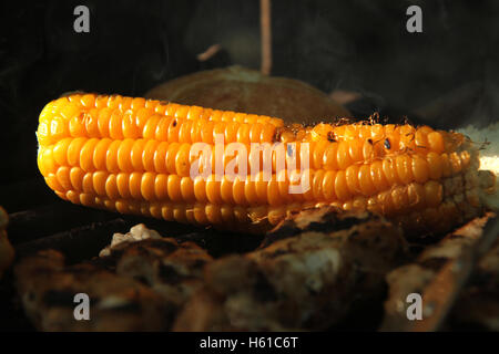 Close-up du maïs au camping plein air grillé Banque D'Images