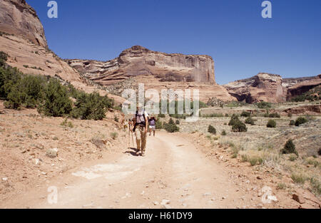 Randonneurs sur le sentier dans la région de Canyon de Chelly National Monument, Arizona Banque D'Images