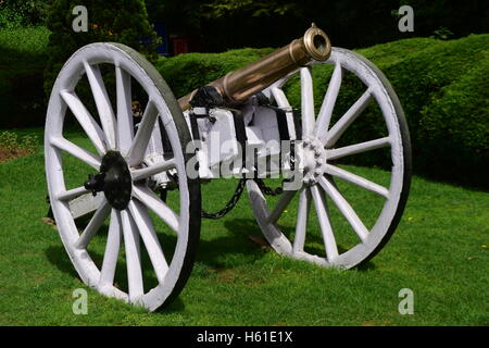 Beau vieux canons britanniques au Jardin botanique de l'Inde d'Ooty Banque D'Images