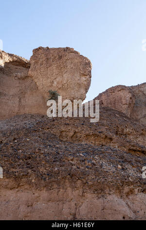 Arbre isolé en Canyon de Sesriem Sossusvlei, Namibie Banque D'Images