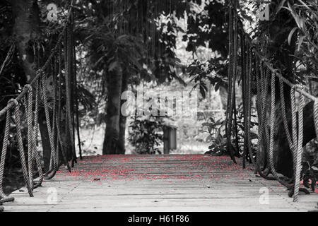 Pont suspendu avec des cordes menant à la forêt tropicale couverte de fleurs rouge sur des planches et l'arrière-plan flou Banque D'Images