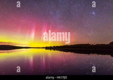 Un affichage assez doux d'aurora sur le lac à l'avant-poste de Police Provincial Park, dans le sud de l'Alberta, le 26 septembre 2016, avec Banque D'Images