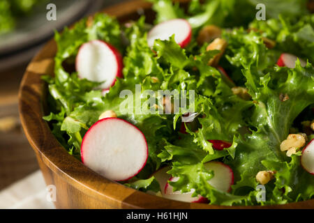 Endives biologiques crus et radis salade avec vinaigrette Banque D'Images