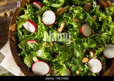 Endives biologiques crus et radis salade avec vinaigrette Banque D'Images