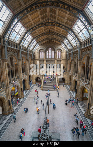 Grand angle panoramique vue sur le lobby principal de Natural History Museum London Banque D'Images