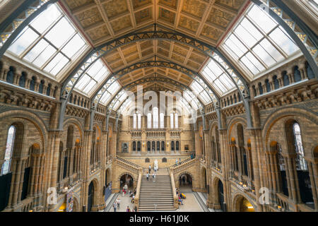 Grand angle panoramique vue sur le lobby principal de Natural History Museum London Banque D'Images