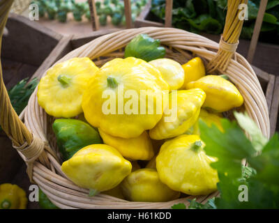 Les courges d'Pattypan à vendre au marché de la ville (104 Street Market) à Edmonton, Alberta, Canada. Banque D'Images