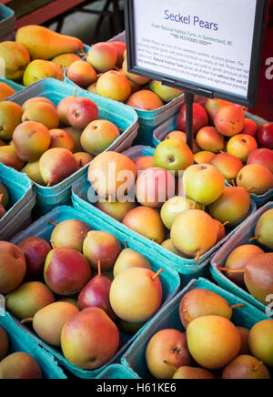 Des barquettes seckel poires pour vendre au marché de la ville (104 Street Market) à Edmonton, Alberta, Canada. Banque D'Images