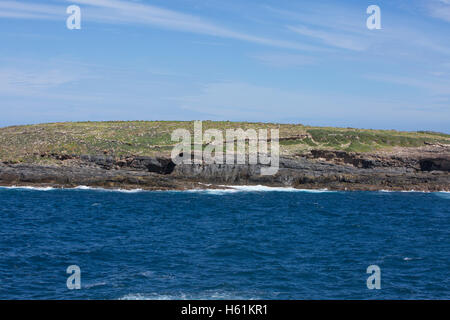 Casuarina îlots au large par Admirals Arch, parc national de Flinders Chase, Kangaroo Island, Australie du Sud Banque D'Images