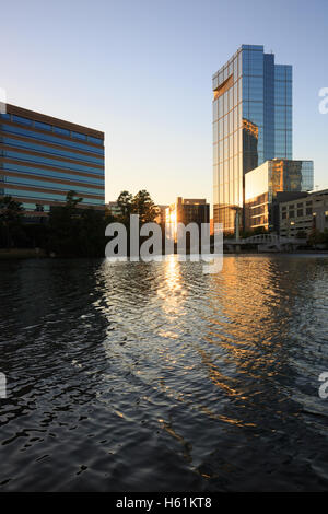 Paysage de nuit dans les bois de construction, Houston, Texas Banque D'Images