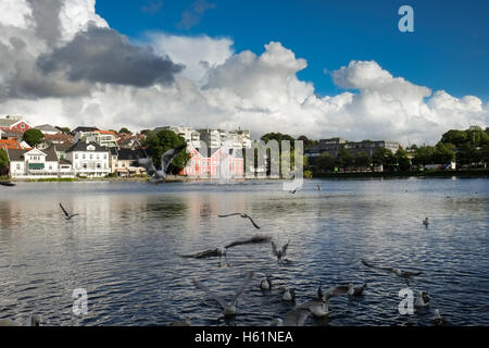 Stavanger, Norvège - Juillet 2016 : le lac Breiavatnet, dans le centre de la ville. Banque D'Images