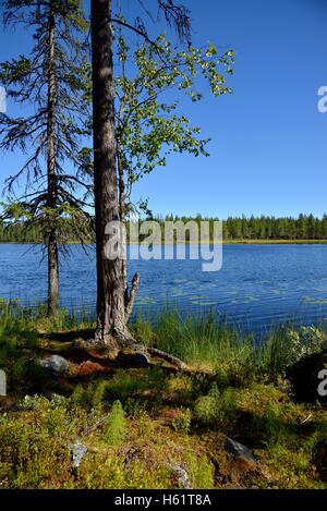 Lac près de Börtnan, Guiclan, Jämtland, Suède Banque D'Images