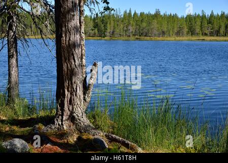 Lac près de Börtnan, Guiclan, Jämtland, Suède Banque D'Images