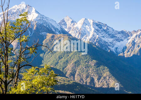 Vue depuis le vignoble biologique des Granges n° nus & Fenis, vallée d'Aoste, Italie. Banque D'Images