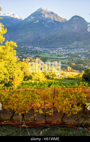 Vue depuis le vignoble bio et biodynamique des Granges, près de nus & Fenis, surplombant Fenis, région de la vallée d'Aoste, en Italie. Banque D'Images