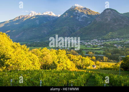 Vue depuis le vignoble bio et biodynamique des Granges, près de nus & Fenis, surplombant Fenis, région de la vallée d'Aoste, en Italie. Banque D'Images