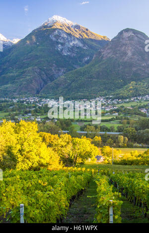 Vue depuis le vignoble bio et biodynamique des Granges, près de nus & Fenis, surplombant Fenis, région de la vallée d'Aoste, en Italie. Banque D'Images