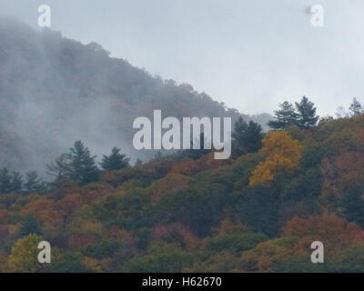 Brouillard humide s'élève des montagnes après de fortes pluies Banque D'Images