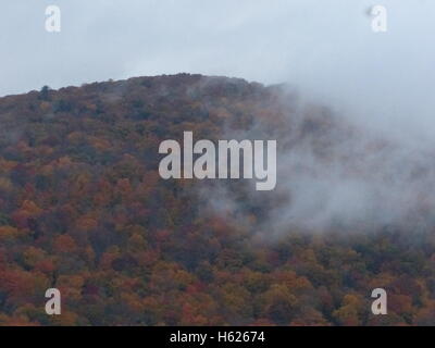 Brouillard humide s'élève des montagnes après de fortes pluies Banque D'Images