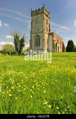 Un champ de renoncules à St Matthew's Church, Rushall, Wiltshire. Banque D'Images