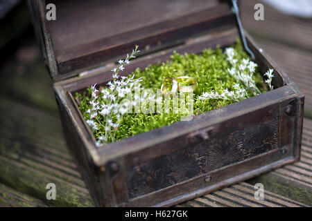 Les anneaux de mariage dans l'herbe et le fort à jour de mariage Banque D'Images