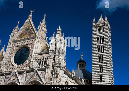 L'élaboration de la façade et tour de la Cathédrale de Sienne, Toscane, Italie Banque D'Images