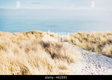 Le Danemark, l'Esla, dunes à la mer Baltique Banque D'Images