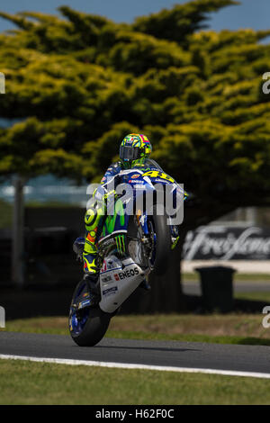 Phillip Island, Australie. 23 octobre, 2016. Réchauffer. Valentino Rossi, Movistar Équipe MotoGP Yamaha. Credit : Russell Hunter/Alamy Live News Banque D'Images