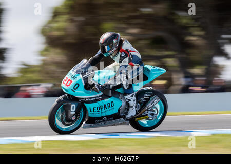 Melbourne, Australie. 23 octobre, 2016. Au cours de la 2016 Grand Prix Moto d'Australie Michelin à 2106 Grand Prix Moto d'Australie Michelin , l'Australie le 23 octobre 2016. Photo : Dave Hewison Crédit : Dave Hewison Sports/Alamy Live News Banque D'Images