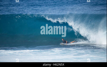 El Fronton, Gran Canaria, Îles Canaries, Espagne. 22 octobre, 2016. Équitation concurrents énormes vagues lors du dernier événement de l'ACNB monde bodyboard 2016 world tour à El fronton sur la côte nord sauvage de Gran Canaria. Credit : Alan Dawson News/Alamy Live News Banque D'Images