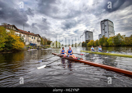 Polly rameur sur Swan River Clyde avec West Boathouse et Gorbals en arrière-plan Banque D'Images