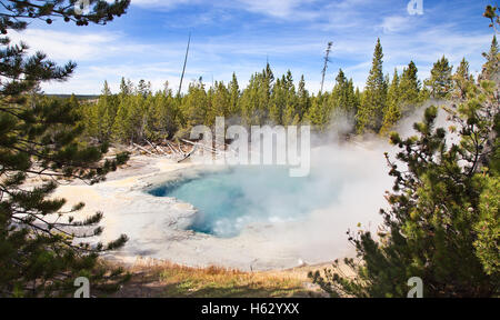 Norris geyser basin dans le parc national de Yellowstone, États-Unis Banque D'Images