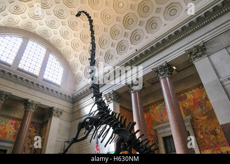 Hall d'entrée à l'American Museum of Natural History, NEW YORK Banque D'Images