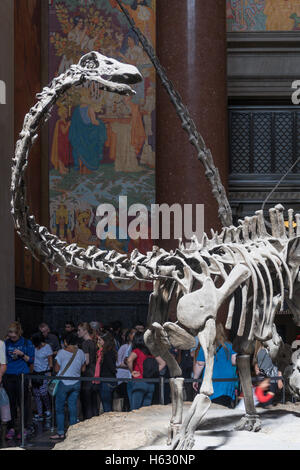 Hall d'entrée à l'American Museum of Natural History, NEW YORK Banque D'Images