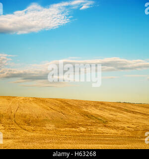 Paysage agricole avec la colline en pente douce. Terrain sous la chaume après la récolte Banque D'Images