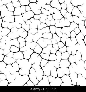 Vector noir et blanc texture mur fissuré de la terre ou Illustration de Vecteur