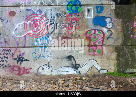 Sous le pont Graffiti Cleddau, Pembrokeshire Banque D'Images