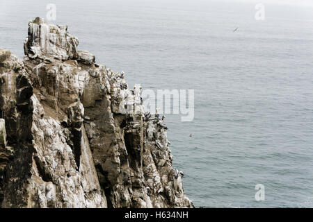 Cliffs à Cerro Azul. De l'océan Pacifique. Pérou Banque D'Images